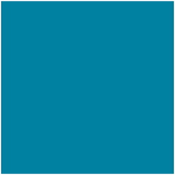 V4H0E953B13DA33B0E9C363FAB782F8A372R2639124P1