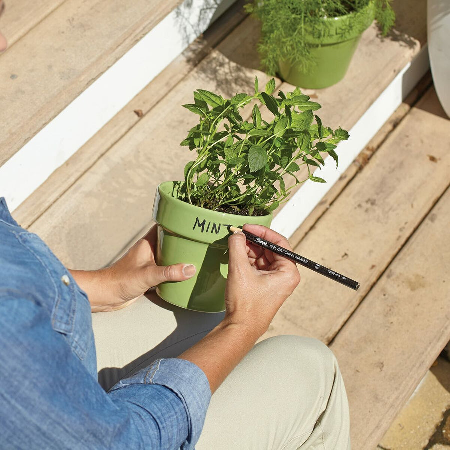 V8HDDB4C1ED9461EA8390526B1A13C87AEER5849154P5