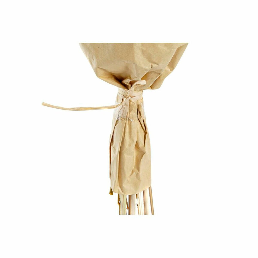 V6H62F0EC3FABA16933F6B7FEAE2D1C7426R5661419P4