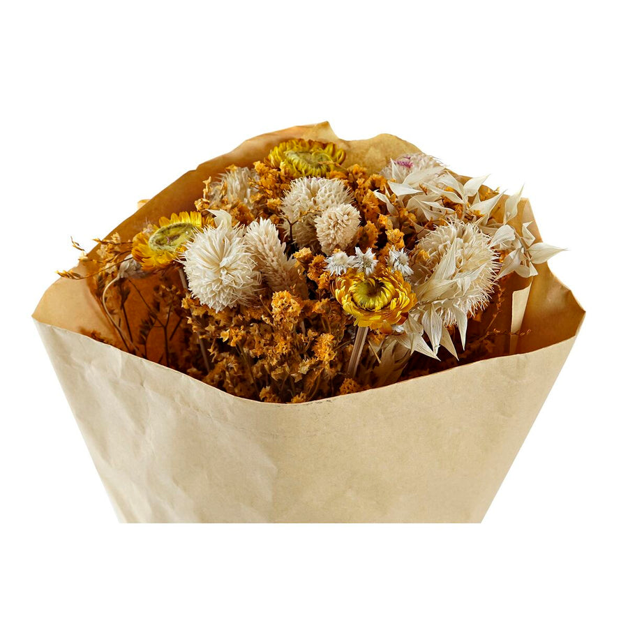 V6H6EE8E4E216BBC5DB4FA0DE804FE160CDR5661415P3