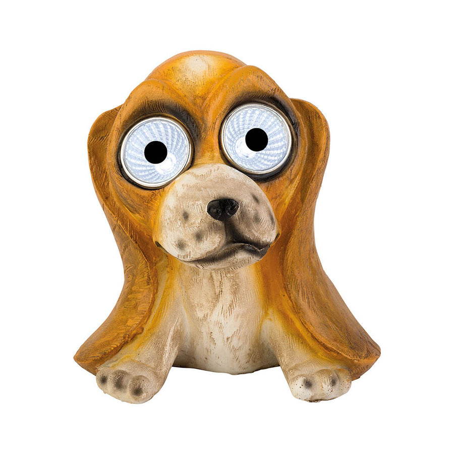 V3HDAB971D398937D5822777758ABC5FEE8R5559897P2